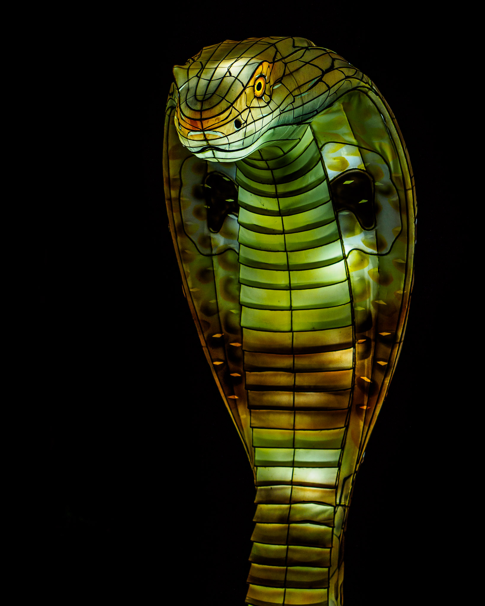 Cobra Light