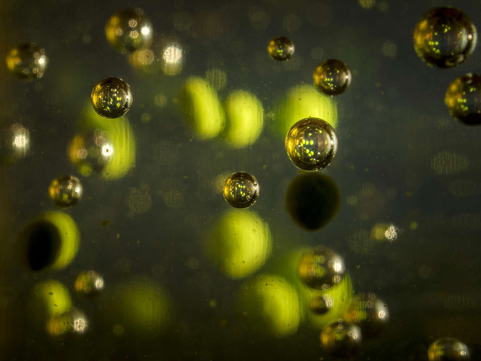 Bubbles