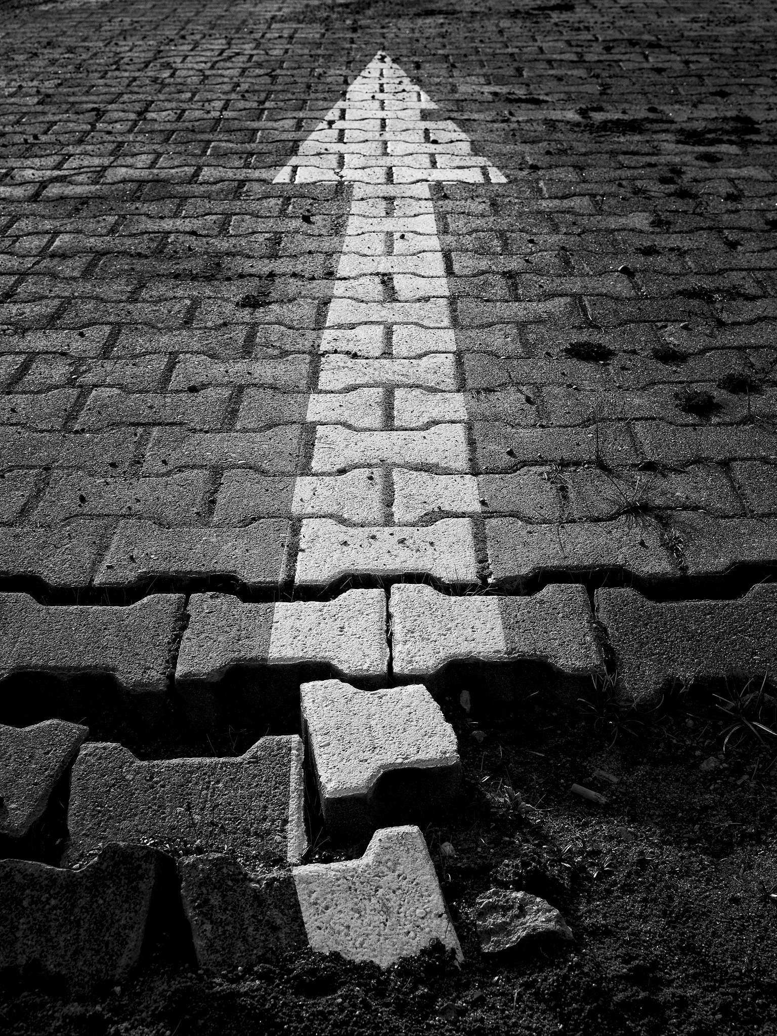 The Way Forward